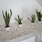 호스텔 Hostelccportimao 포티마오