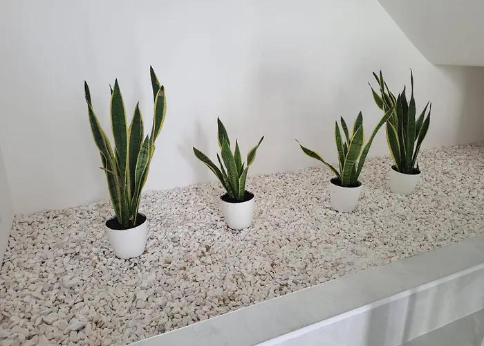 אכסניה Hostelccportimao פורטימאו