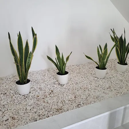 ホステル Hostelccportimao ポルティマン